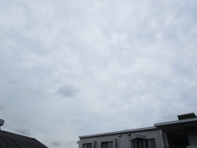 ラ・セラ・イーストの物件内観写真