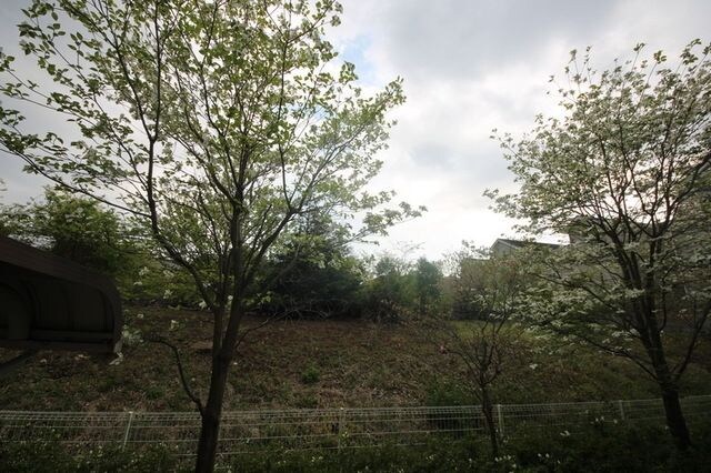 レオパレスＳＨＩＲＯＹＡＭＡIVの物件内観写真