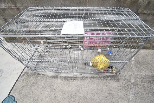 リベルテ中央林間の物件内観写真