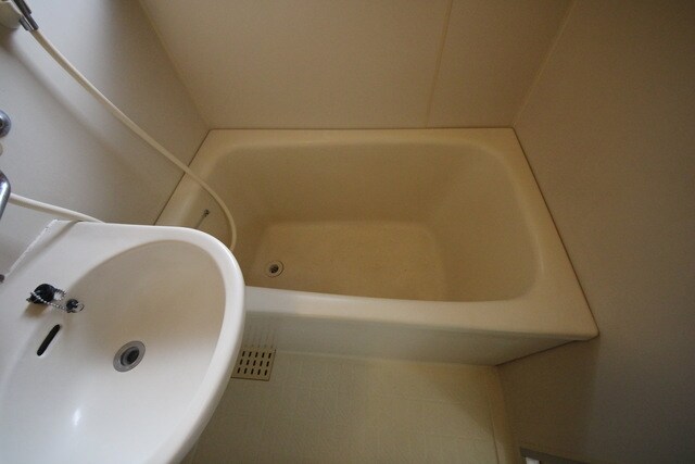 アベニュー中央林間の物件内観写真