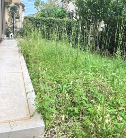 荏田北戸建の物件内観写真