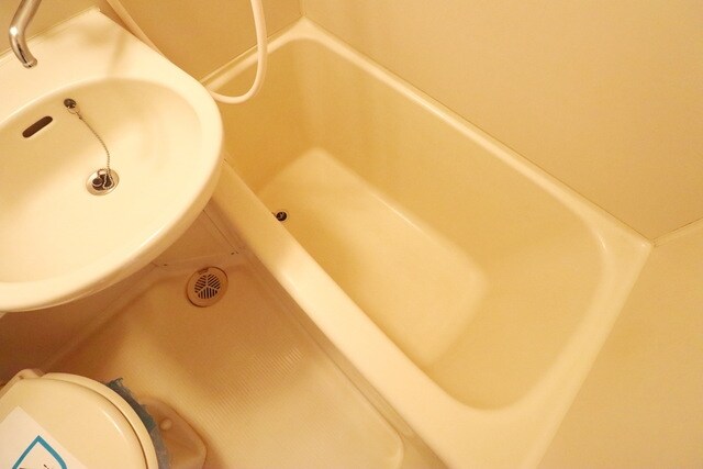 コンフォート長津田の物件内観写真