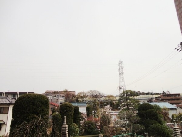 ＴｈｅＣｅｎｔｕｒｙＭｉｙａｚａｋｉｄａｉの物件内観写真