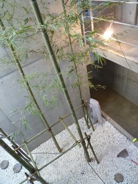 Ｄ－Ｓｑｕａｒｅ千歳船橋の物件内観写真