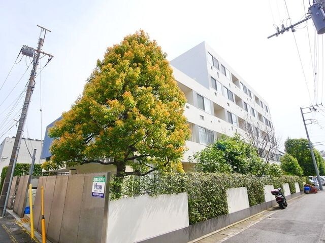 コート向ヶ丘　の物件内観写真