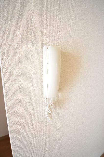 ドルフＭの物件内観写真