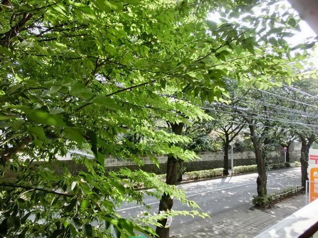 T′s garden CHITOSE FUNABASHIの物件内観写真