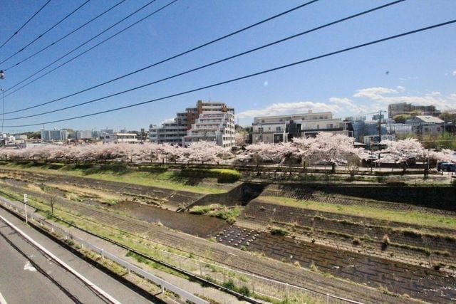 リュミエ堀之内の物件内観写真