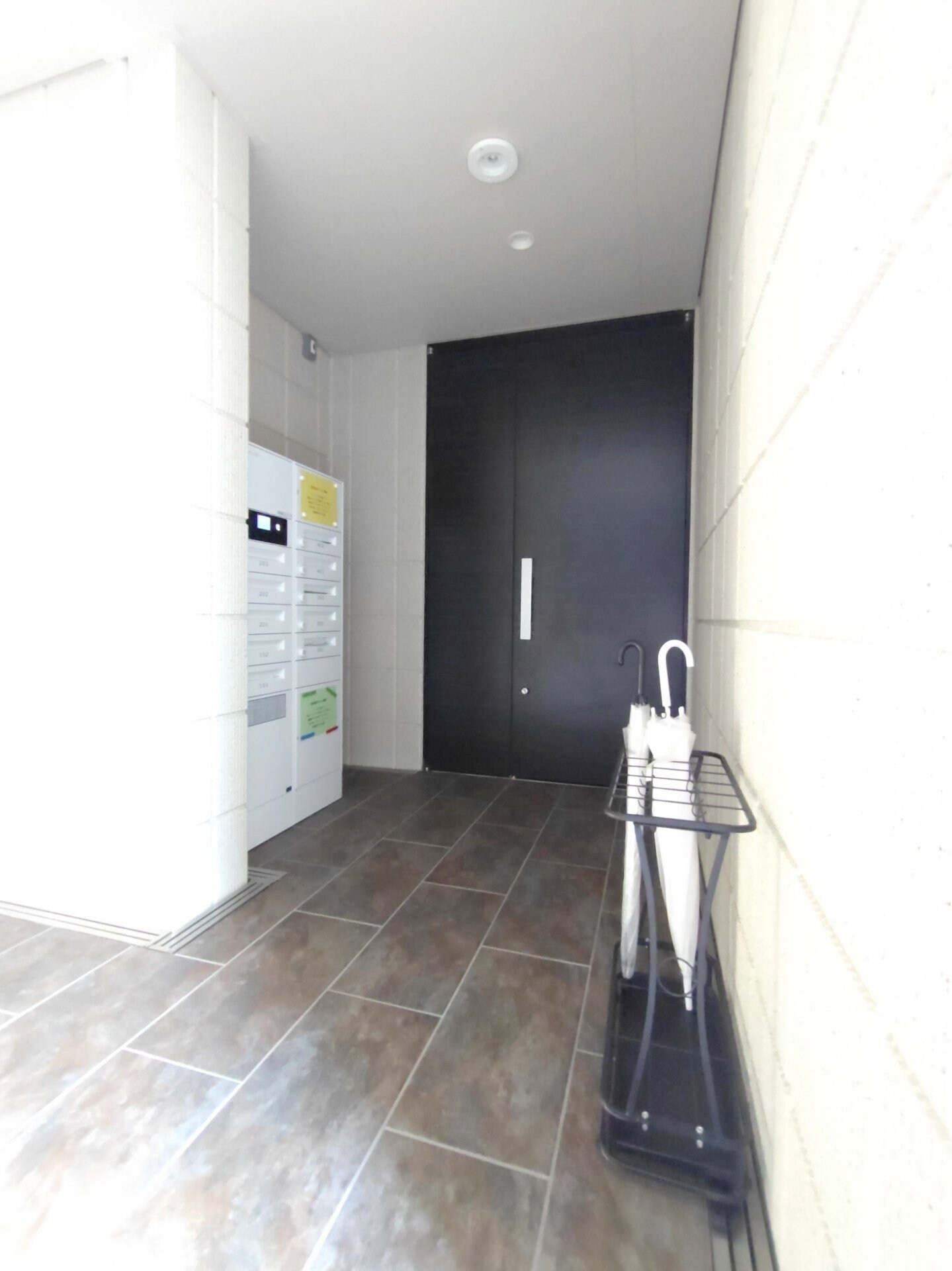 Maison d or 顕の物件内観写真