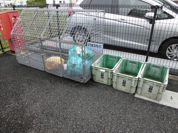 SeLene（セレネ）の物件内観写真