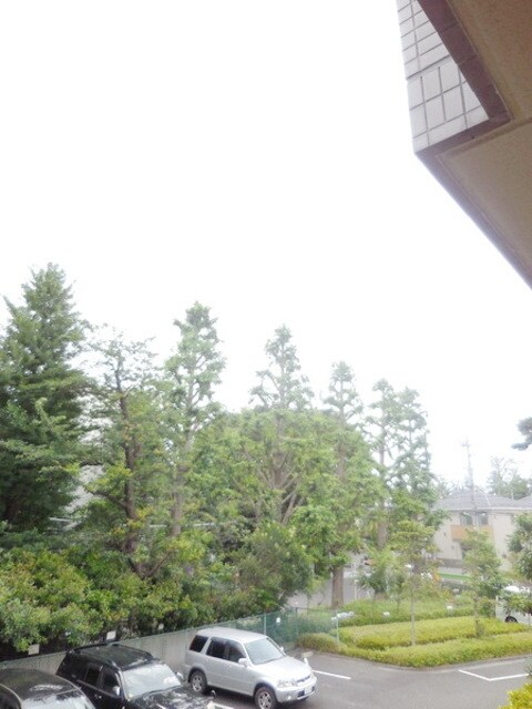 ヴェルデ久我山の物件内観写真