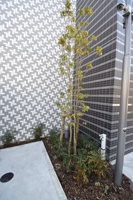 レジデンス経堂桜丘の物件内観写真