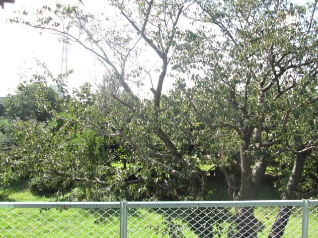 アンシャンテ浜田山の物件内観写真