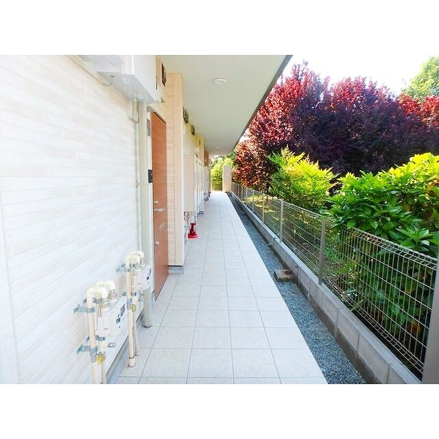 サニーグレイス国立の物件内観写真