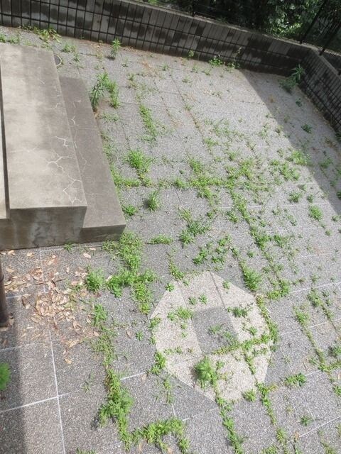 コスモの物件内観写真