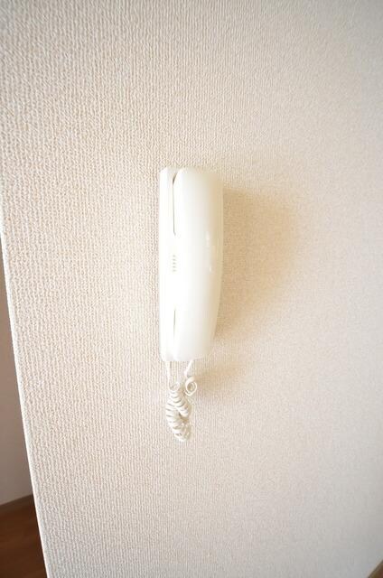 ドルフＭの物件内観写真