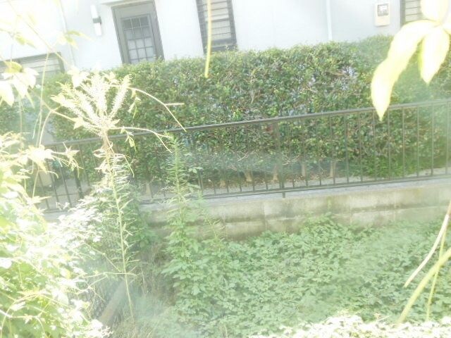 エンドレスの物件内観写真