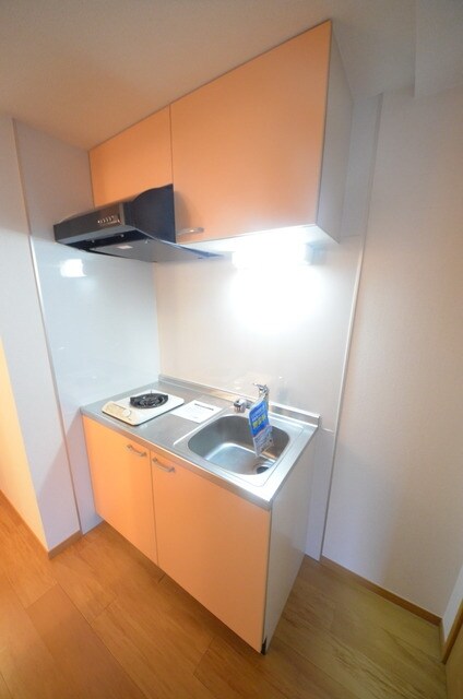 リバーストーンIIIの物件内観写真