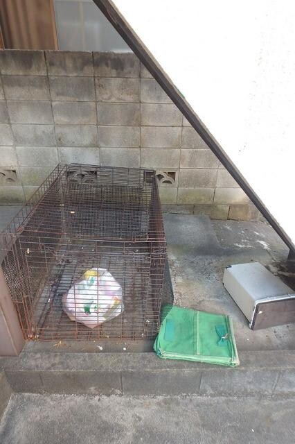 グリーンヒル国分寺の物件内観写真