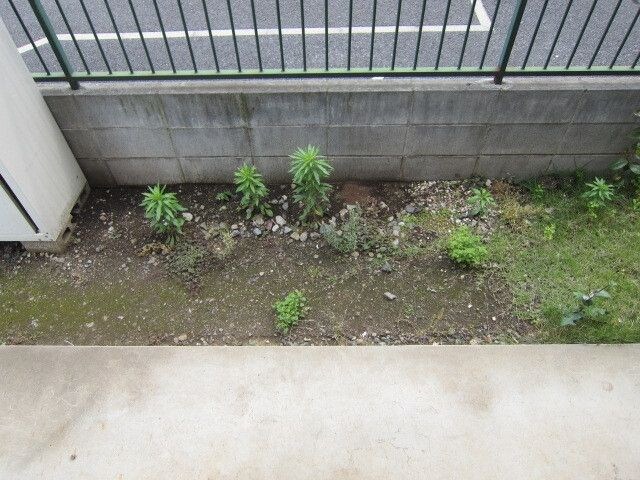 サンソアラDの物件内観写真