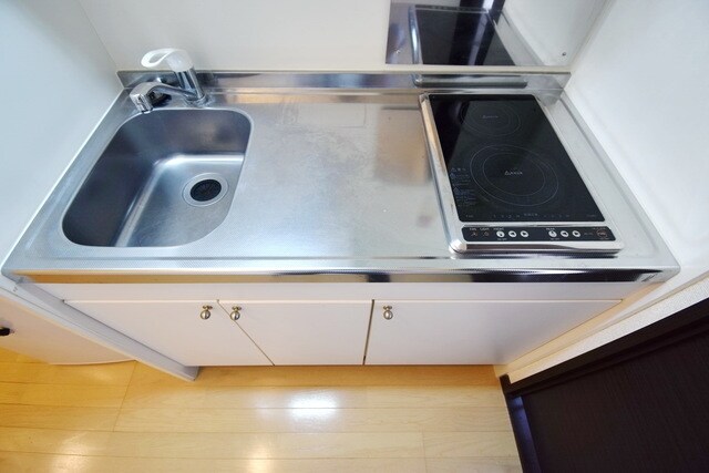 レオネクストレグルスの物件内観写真