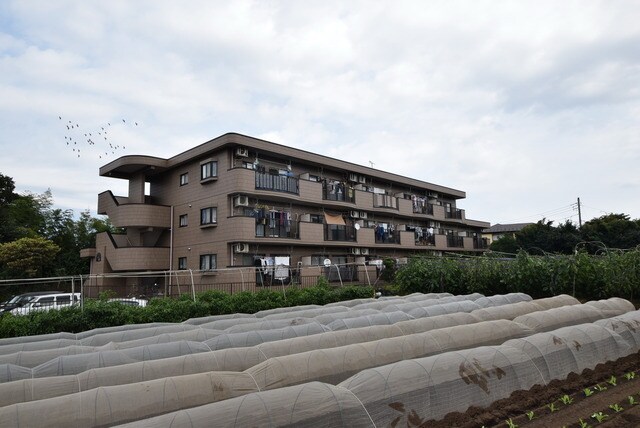 しゃんぐりらひる　の物件外観写真