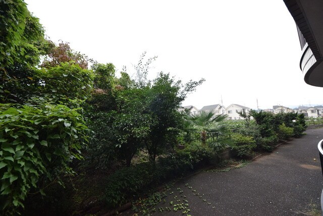 しゃんぐりらひる　の物件内観写真