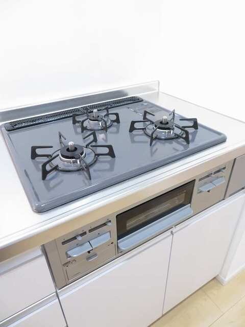 ランド　フォレストIの物件内観写真