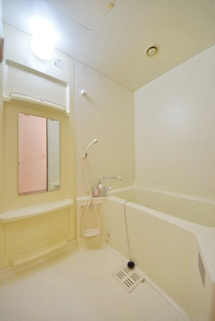 Ａｍｅｎｉｔｙ Ｃｏｕｒｔの物件内観写真