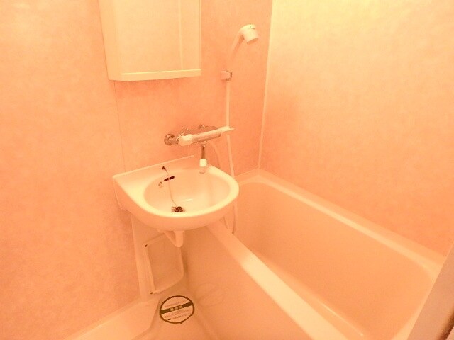 トーシンフェニックス武蔵関の物件内観写真