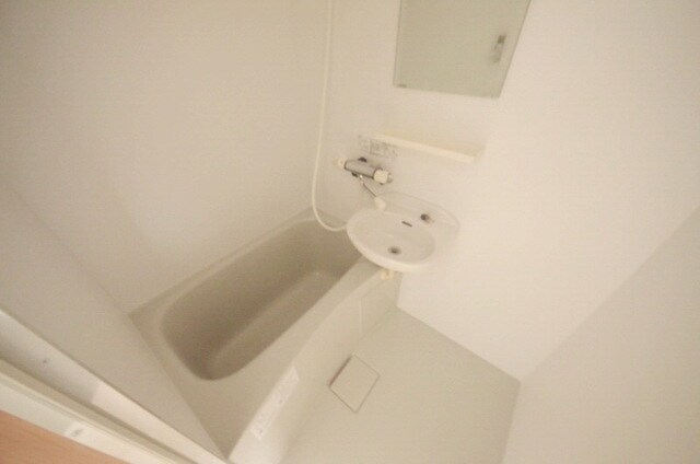 ホワイトバーチの物件内観写真