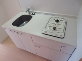 ヴィータローザ東府中の物件内観写真