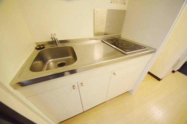 レオネクストエーデル　グリーンの物件内観写真