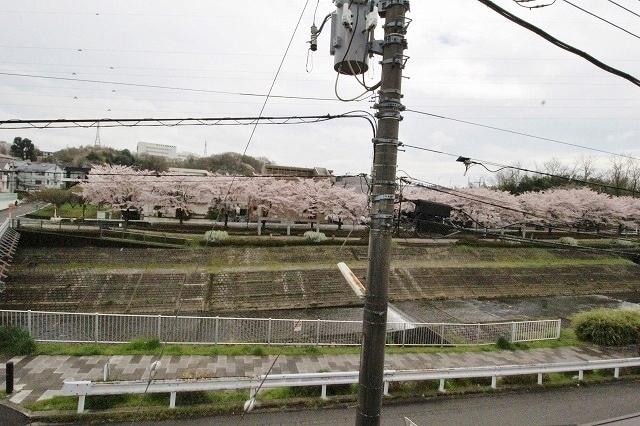 オークコートの物件内観写真