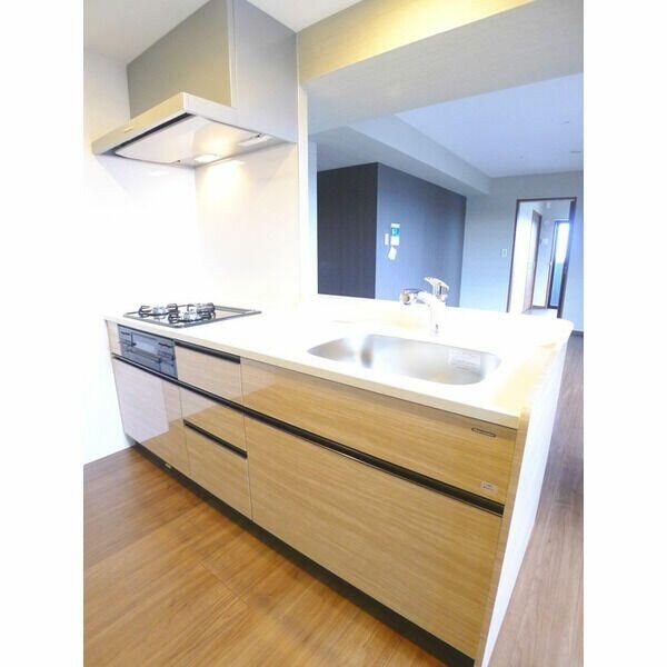 Ｂｒｉｌｌｉａｎｔ　Ｖｉｅｗ　Ｃｅｎｔｒａｌ　Ｐａｒｋの物件内観写真