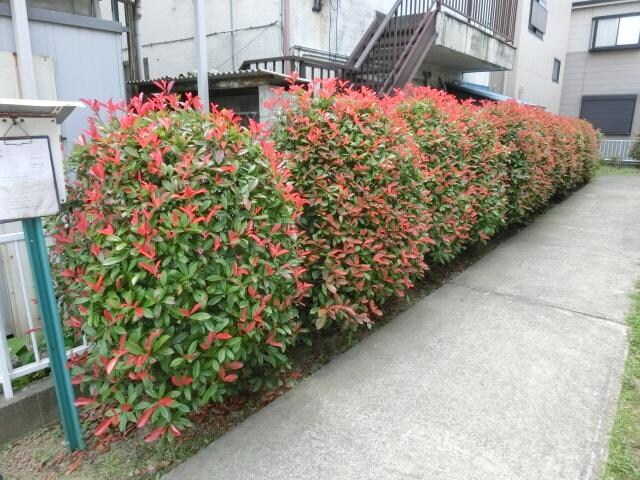 サーパス・21　Aの物件内観写真