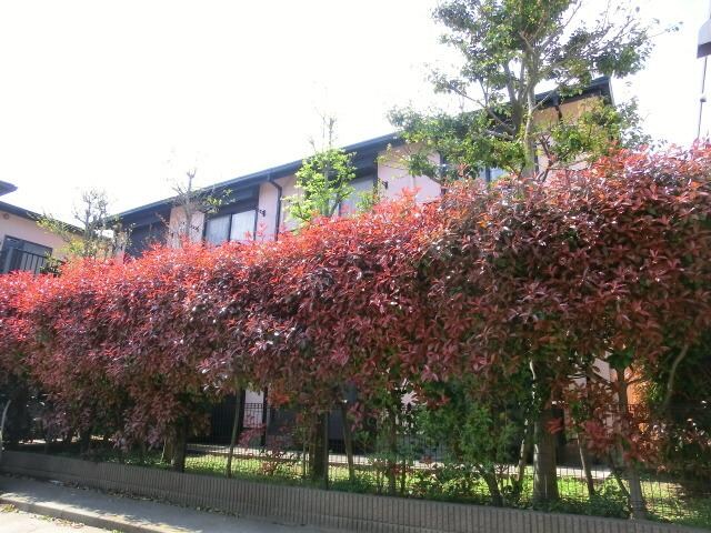 メゾンパティオB棟の物件内観写真