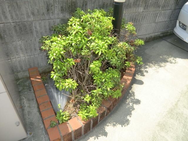 メゾン　ド　アルモニーの物件内観写真