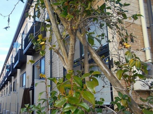 レオパレスシェル　ガーデンIIの物件内観写真