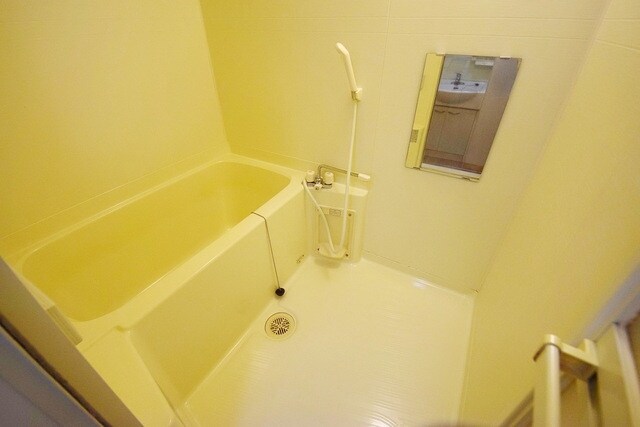 レオネクストファミリア白山の物件内観写真