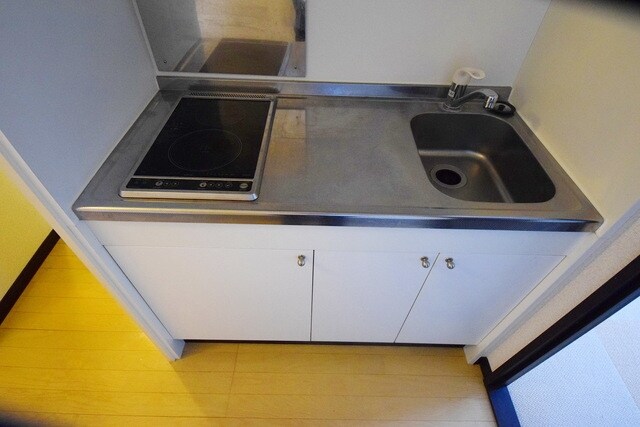 レオネクストフィエールIIの物件内観写真