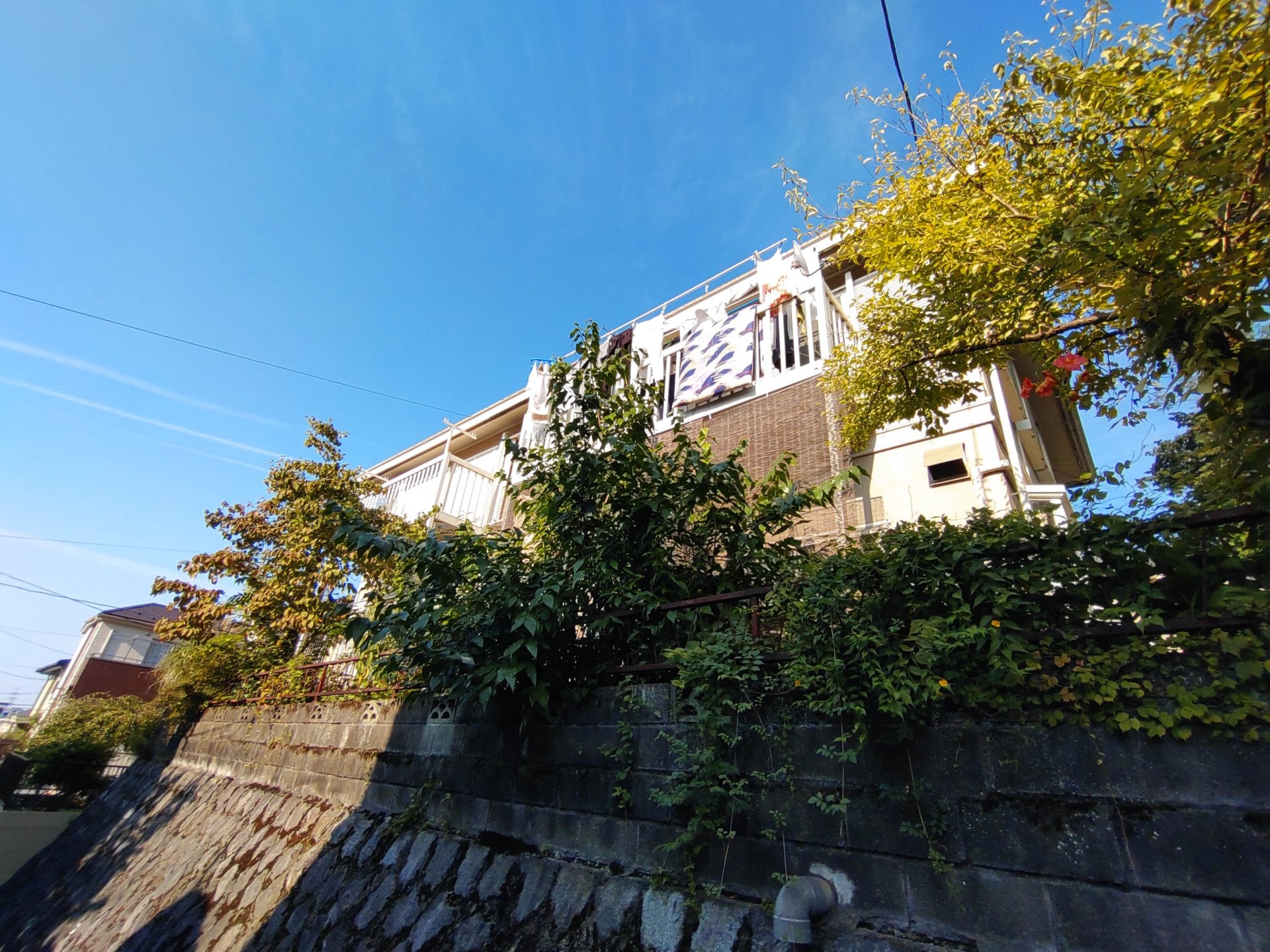 ハイツさつきの物件内観写真