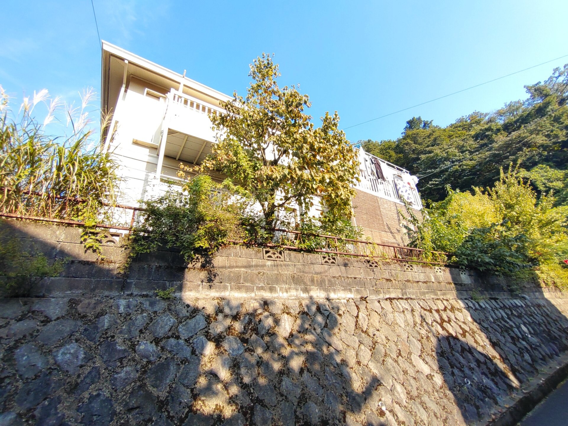 ハイツさつきの物件内観写真