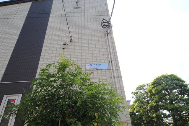 メゾン　ド　ミュゲの物件内観写真