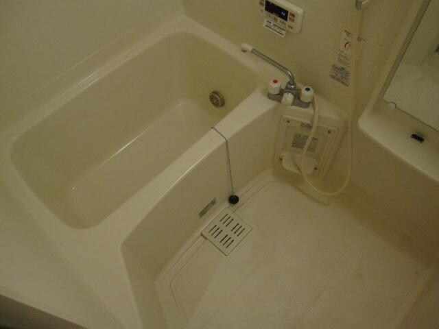 ベルツリー東川口Ｄ棟の物件内観写真