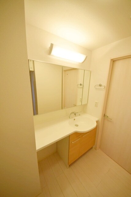 ロイジェントパークスレイクタウンIII　Ｅ棟の物件内観写真