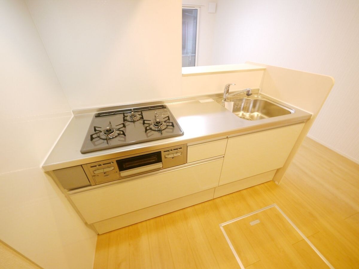 ロイジェントパークス草加手代　Bの物件内観写真