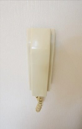 シティパレス東久留米IIの物件内観写真