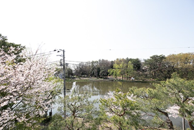 コルティーレ石神井公園の物件内観写真