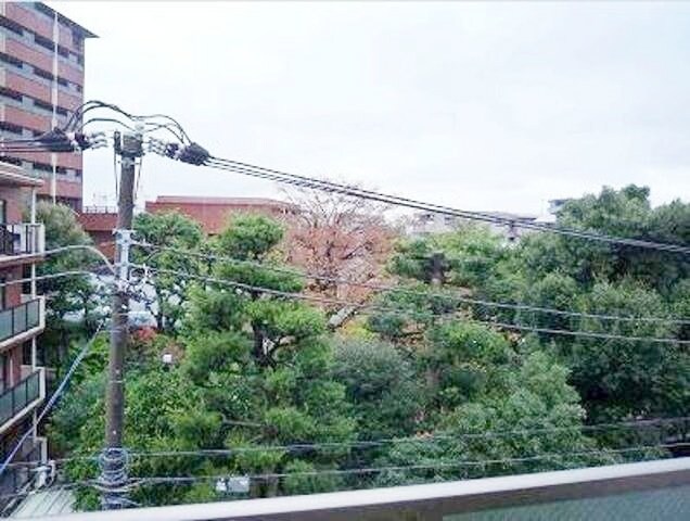 パレステュディオときわ台の物件内観写真